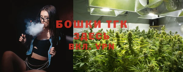 прущие грибы Армянск