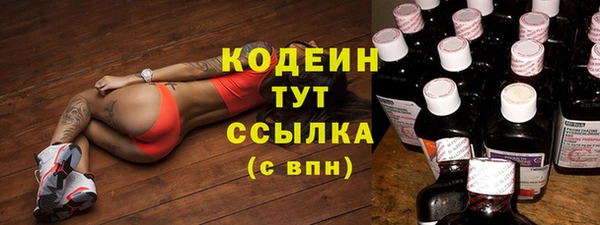 прущие грибы Армянск