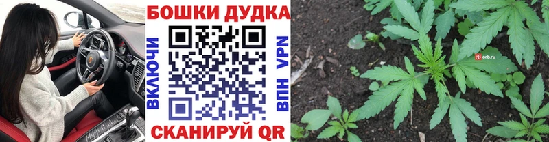 Шишки марихуана OG Kush  Луза 